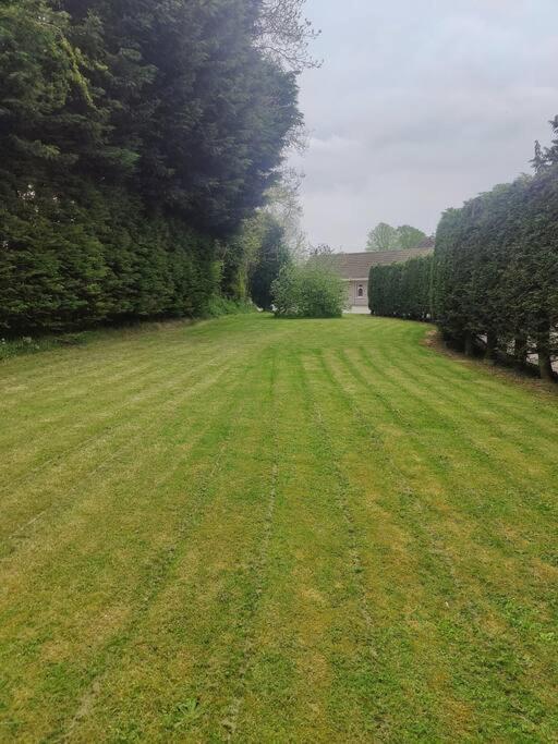 Entire Home At Ballysax House Newpark Bagian luar foto